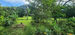 Seletar Garden (D28), Terrace #561731741